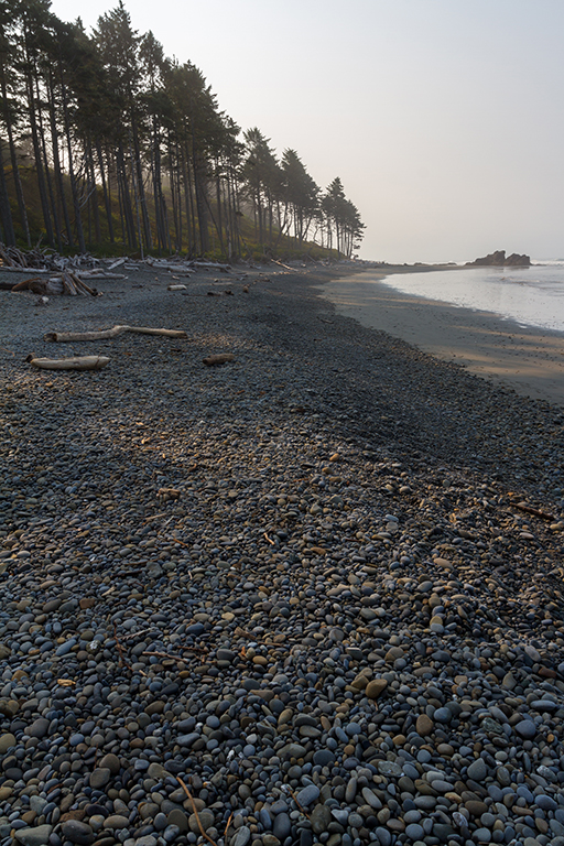 09-23 - 04.jpg - Olympic National Park, WA